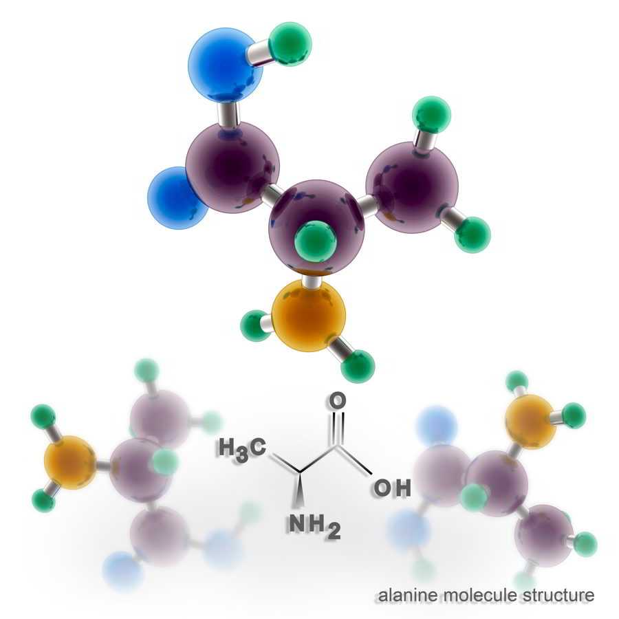 Alanine molecule structure