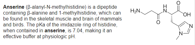 Anserine definition wikipedia