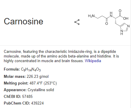 Carnosine definition wikipedia