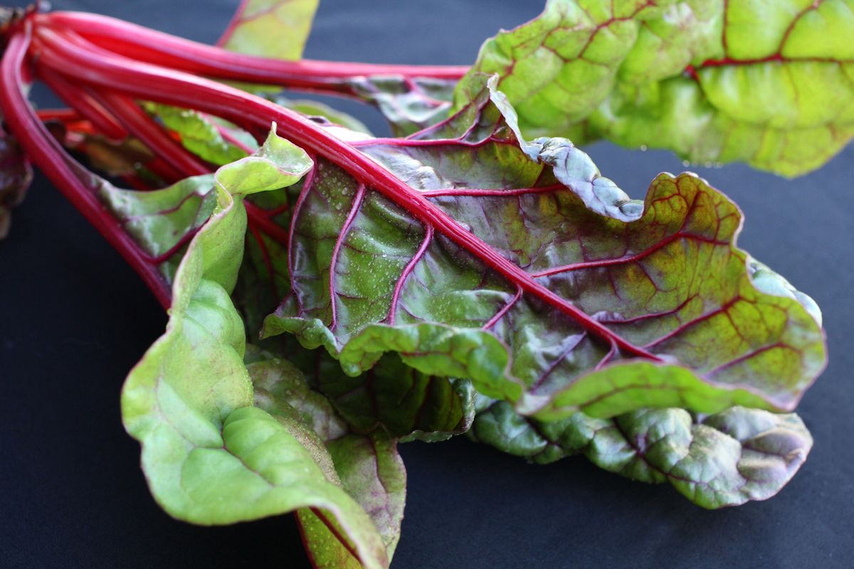 Red Swiss Chard