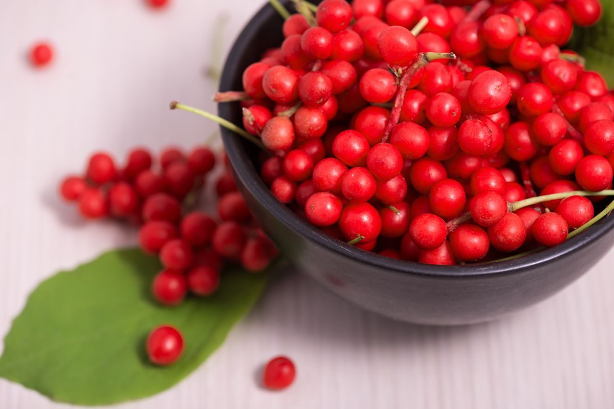 Schisandra chinensis Fruit and Berries