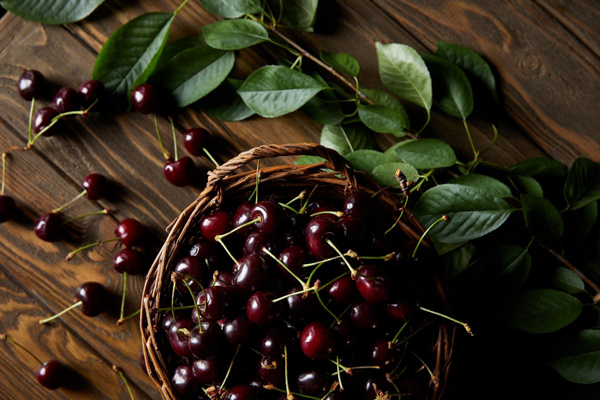 Top View Fresh Red Sweet Cherries Rustic Basket Wooden Table