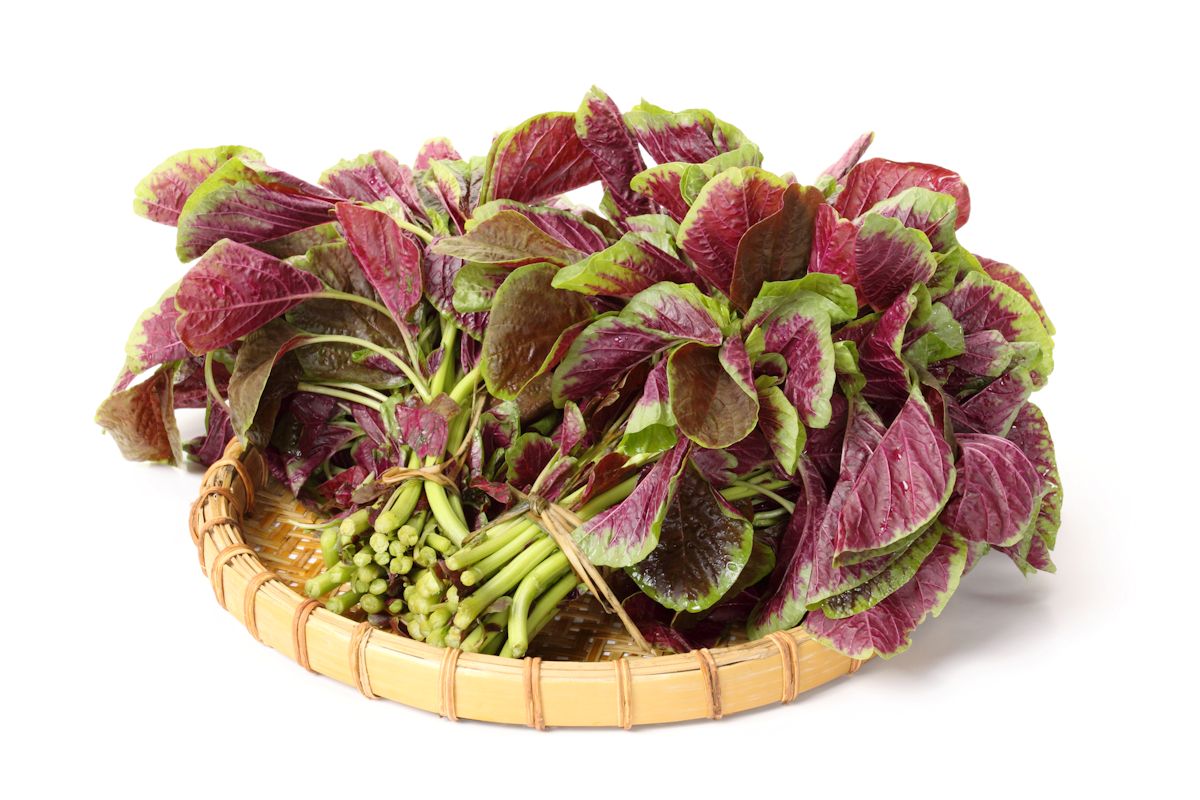 Tray of Amaranth bunch