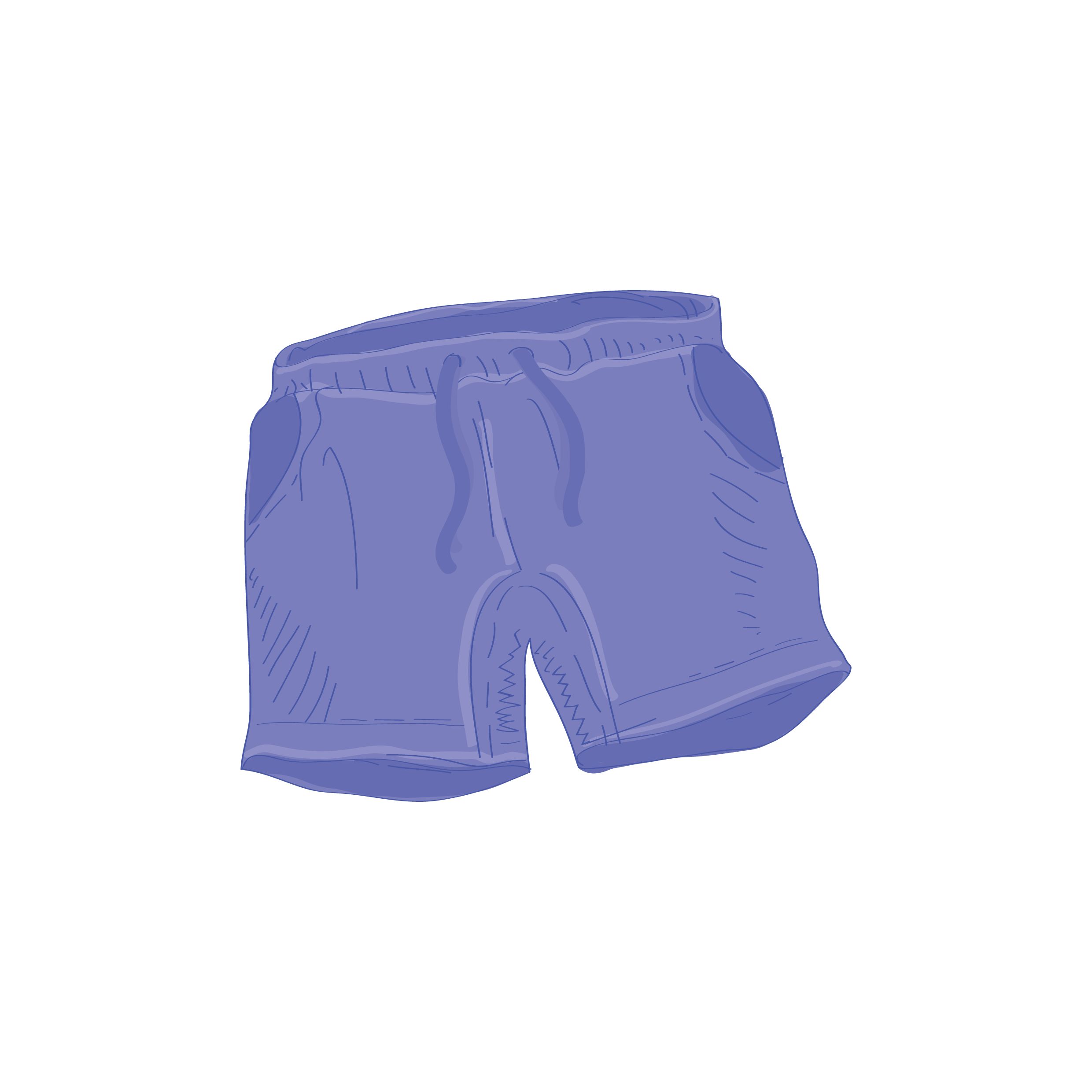 Blue Shorts Vector Image