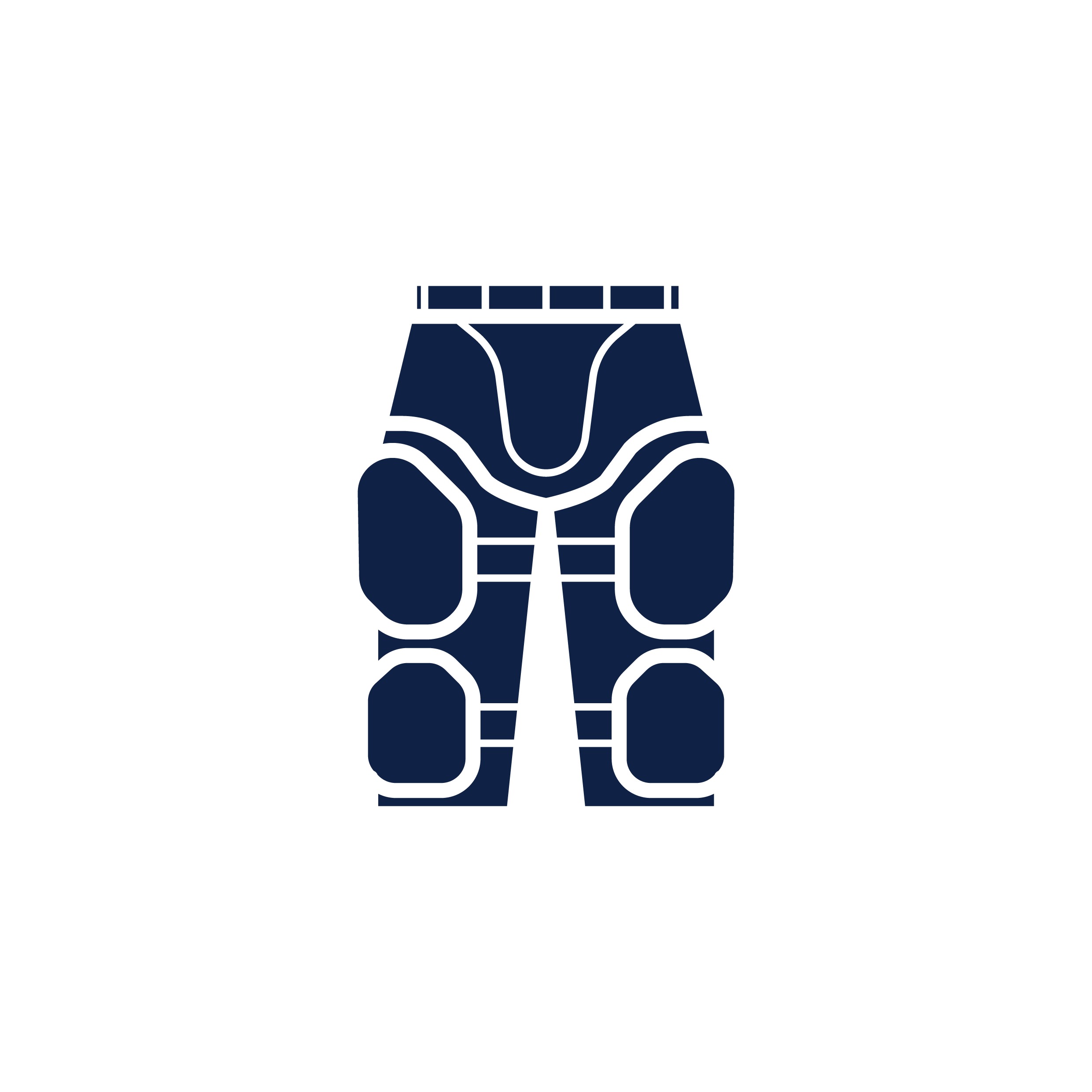 Blue Knee and thigh pads Vector Image